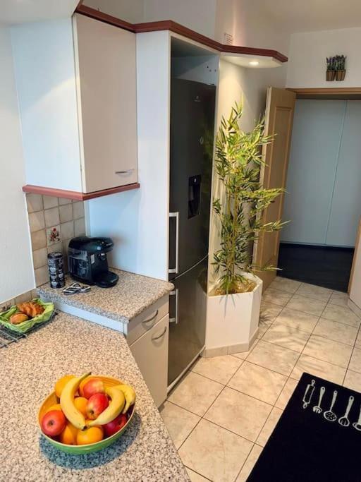 Grand Appartement 2 Chambres 5 Pers Max, Vue Panoramique Avec Parking Mulhouse Exterior photo