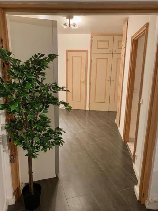 Grand Appartement 2 Chambres 5 Pers Max, Vue Panoramique Avec Parking Mulhouse Exterior photo